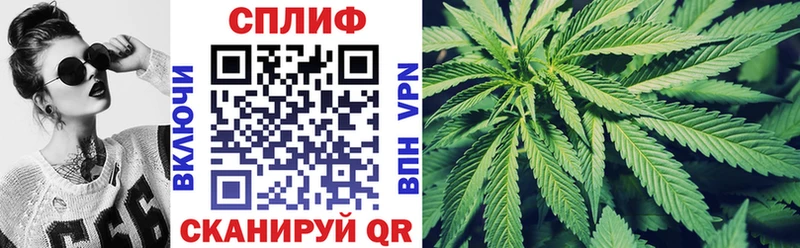 Где купить наркотики Буйнакск Амфетамин Alpha PVP Мефедрон Бошки Шишки ГАШИШ