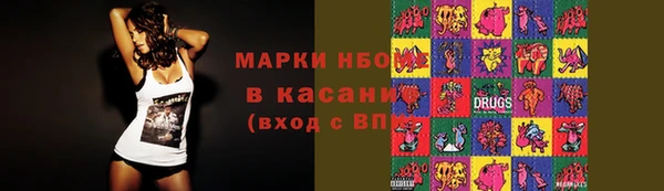 прущий лед Богданович