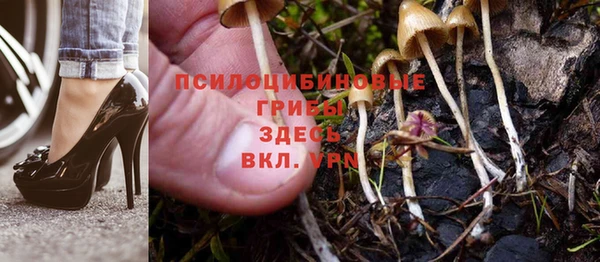 прущий лед Богданович