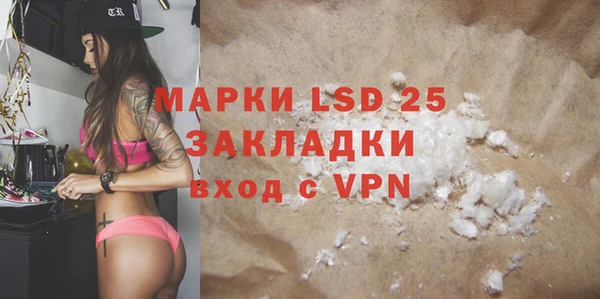 прущий лед Богданович