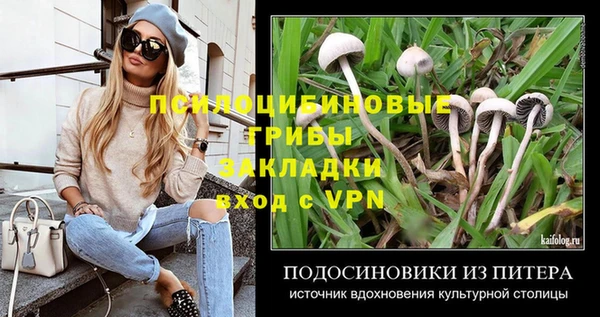 ПСИЛОЦИБИНОВЫЕ ГРИБЫ Богородицк