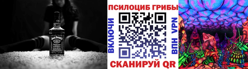 Псилоцибиновые грибы Cubensis  Буйнакск 